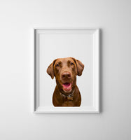 Pet Art