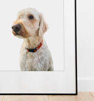 Pet Art
