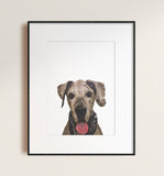 Pet Art