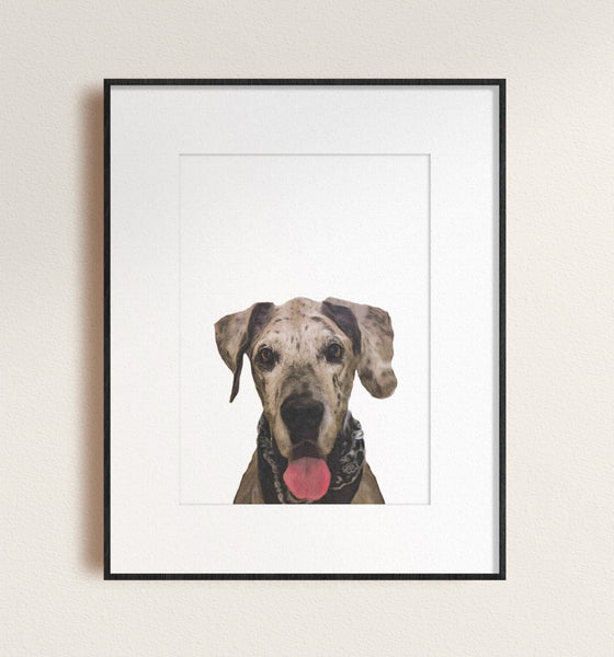 Pet Art