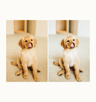 Pretty Paper Presets: The Natural Collection
