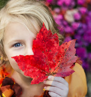 Pretty Paper Presets: The Natural Collection