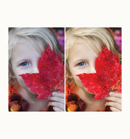 Pretty Paper Presets: The Natural Collection
