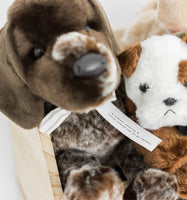 Adopt Your Puppy Signs