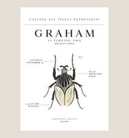 Insect Theme Birthday Party Invitations