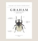 Insect Theme Birthday Party Invitations