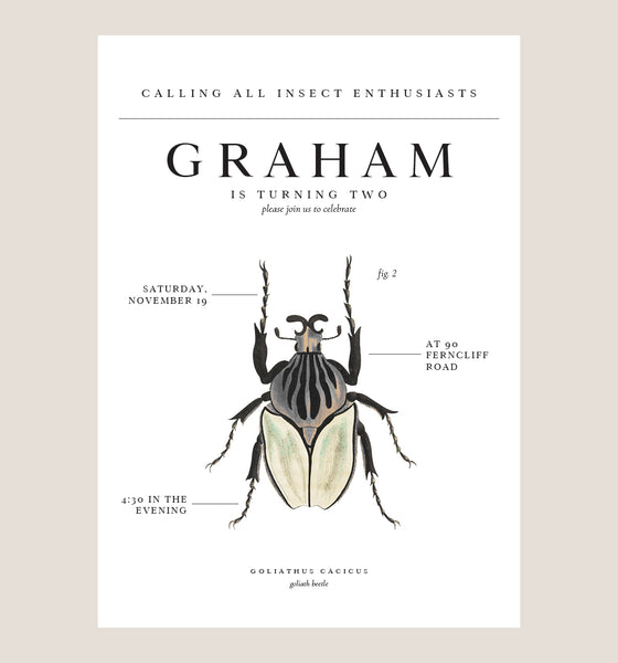 Insect Theme Birthday Party Invitations