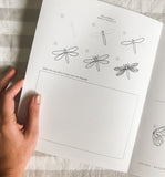 Insect Field Notes Activity