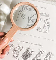Insect Field Notes Activity