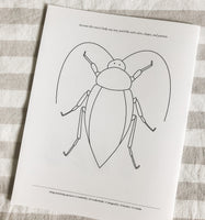 Insect Field Notes Activity