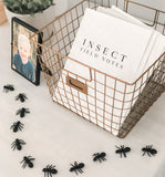 Insect Field Notes Activity
