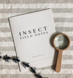 Insect Field Notes Activity