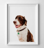 Pet Art