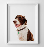 Pet Art