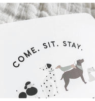 Puppy Theme Birthday Party Invitations