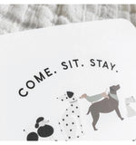 Puppy Theme Birthday Party Invitations