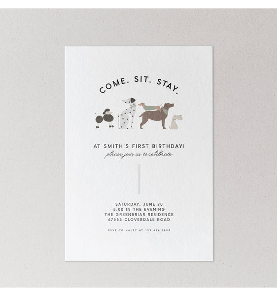 Puppy Theme Birthday Party Invitations